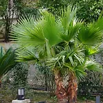 Villa Les Cades Sainte-Maxime