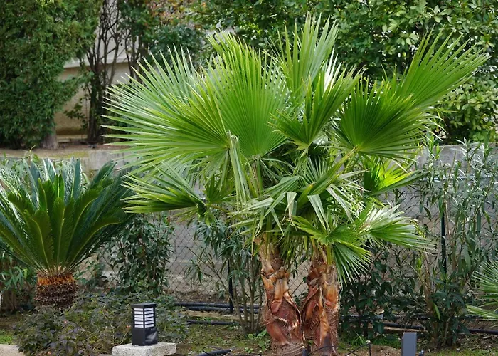 Villa Les Cades Sainte-Maxime